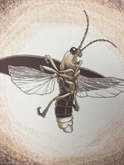 Common Firefly (Photinus Pyralis) - 2015 Justin Santora Poster Art Print