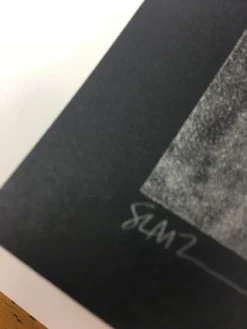 Gig Posters The Dead Weather - 2009 Todd Slater Poster Seattle, WA Paramount Theatre