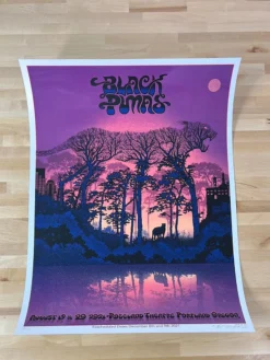 Black Pumas - 2021 EMEK Poster Portland, OR Roseland Theatre Gig Posters