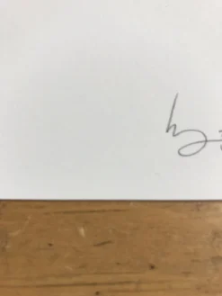 Fat Bird - 2017 Mike Mitchell Poster Himalayan Bulbul Art Prints