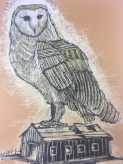 Art Prints Reconstructed Barn Owl - 2013 Dan Grzeca Poster Art Print Burnt Orange