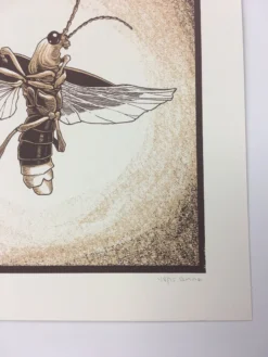 Common Firefly (Photinus Pyralis) - 2015 Justin Santora Poster Art Print