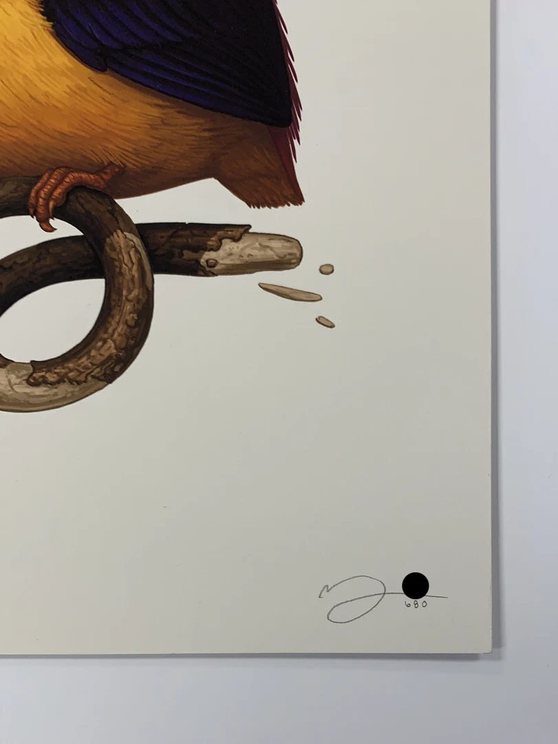 Fat Bird - 2020 Mike Mitchell Poster Rufous-Backed Dwarf Kingfisher 1st Art Prints 7 Fat Bird - 2020 Mike Mitchell Poster Rufous-Backed Dwarf Kingfisher 1st Art Prints