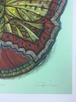 Wooden Resurrection Butterfly - 2013 Dan Grzeca Poster Art Print Art Prints