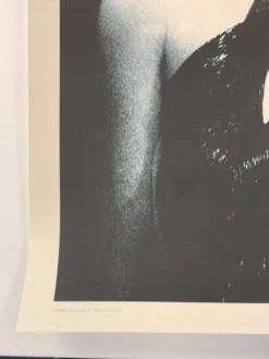 The Dead Weather 2009 Rob Jones Poster (with Damage) Chicago Vic Night 2 S/N Chicago, IL