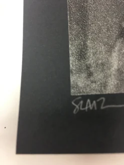 Gig Posters The Dead Weather - 2009 Todd Slater Poster Seattle, WA Paramount Theatre