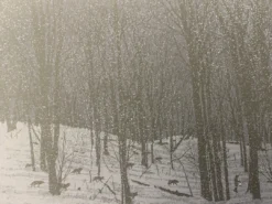 Art Prints Guiding Light - 2010 Dan McCarthy Poster Art Print