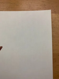 Art Prints Boxo II (Skullies 2) - 2019 Mike Mitchell Poster Print SOFA Con 1st