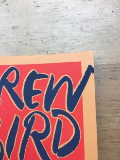 Andrew Bird - 2005 Jay Ryan Poster Multiple Venue Tour Gig Posters