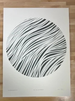 The Light We Reflect - 2021 Jay Ryan Poster Art Print