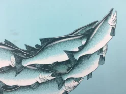 Art Prints Salmon Run - 2015 Justin Santora Poster Art Print