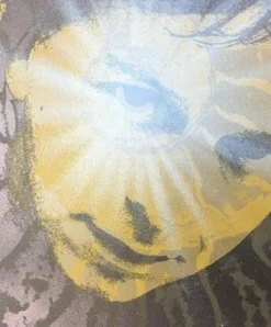 Ween - 2008 Todd Slater Poster St. Paul, MN Roy Wilkins Auditorium Gig Posters