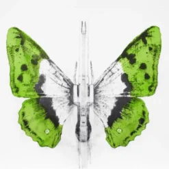 Art Prints 344 - 2014 Ludo Street Artist Butterfly Lithograph Poster